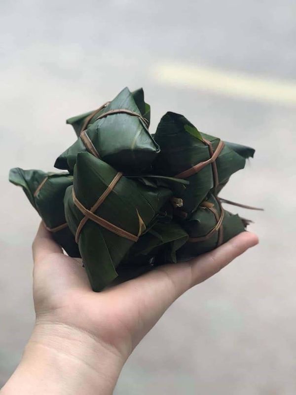 Hojas de bambú frescas activas verdes naturales del polisacárido los 35cm