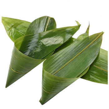 Hojas de bambú los 33cm frescas amistosas de Eco para la comida del sushi
