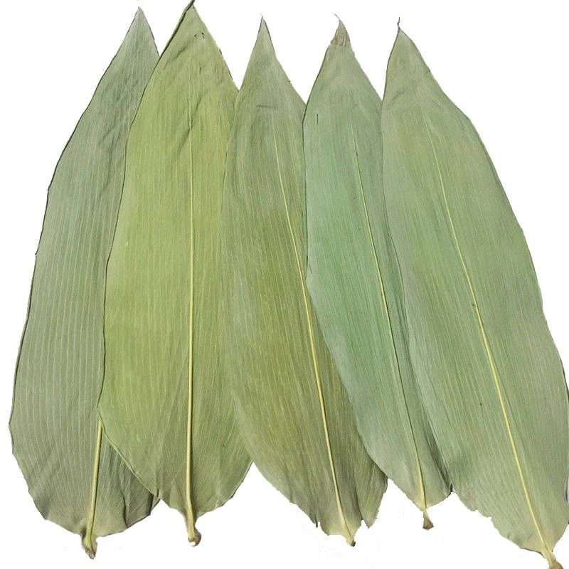 Hojas de bambú los 33cm frescas amistosas de Eco para la comida del sushi