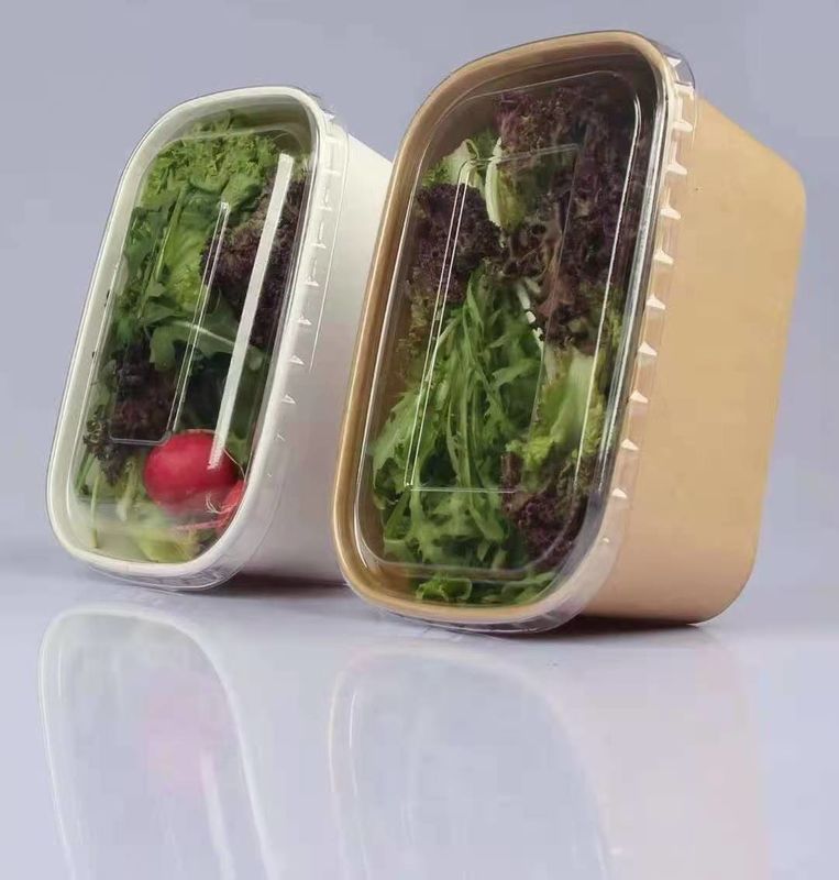 El papel del SGS del cuadrado se lleva disponible biodegradable de la caja