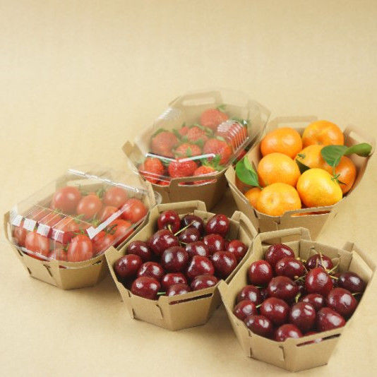 Tapa de papel reciclable del ANIMAL DOMÉSTICO de Tray With de la fruta de 350gsm Kraft