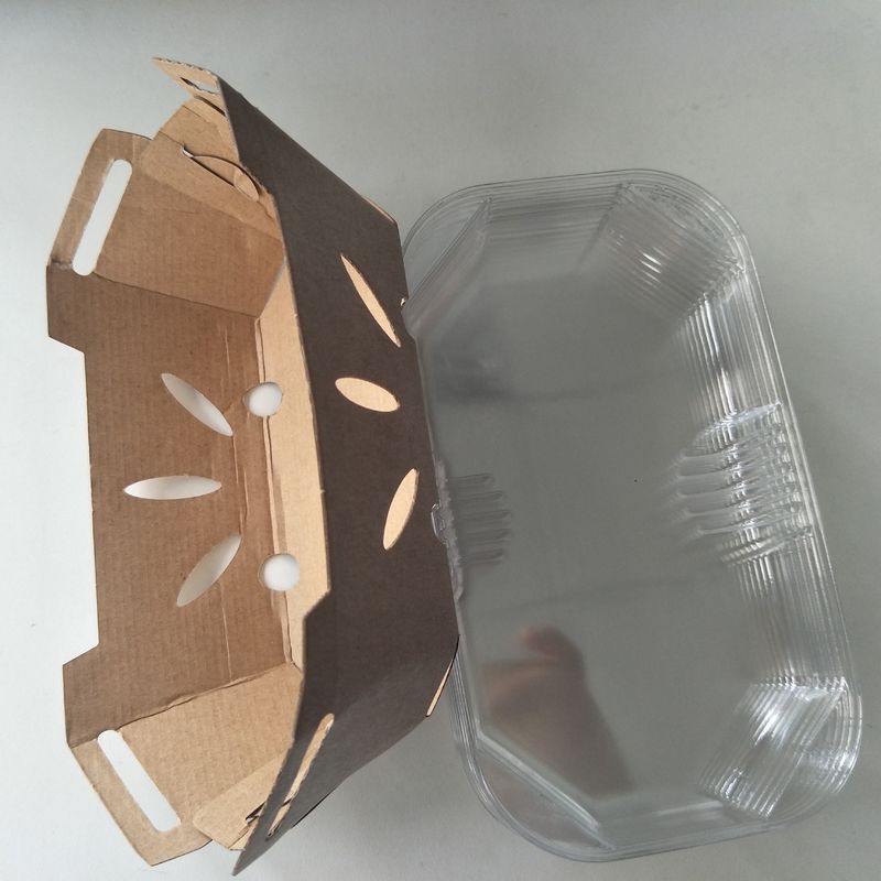 Tapa de papel reciclable del ANIMAL DOMÉSTICO de Tray With de la fruta de 350gsm Kraft