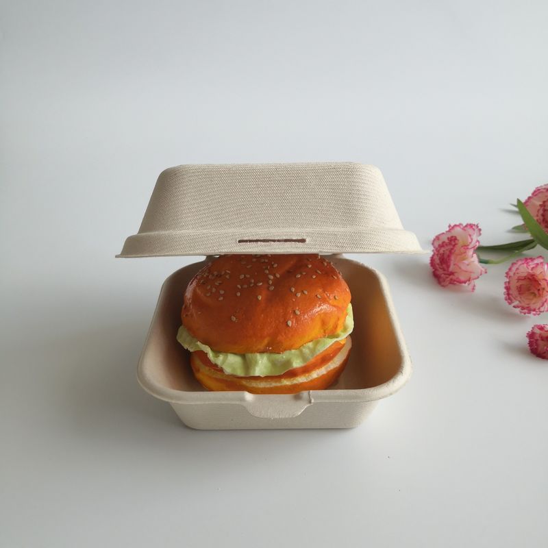 5 pulgadas caja disponible de la hamburguesa de la caña de azúcar biodegradable de 6 pulgadas