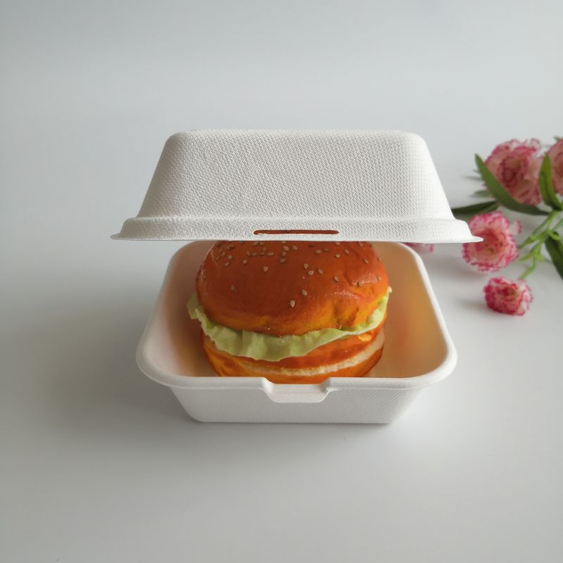 5 pulgadas caja disponible de la hamburguesa de la caña de azúcar biodegradable de 6 pulgadas