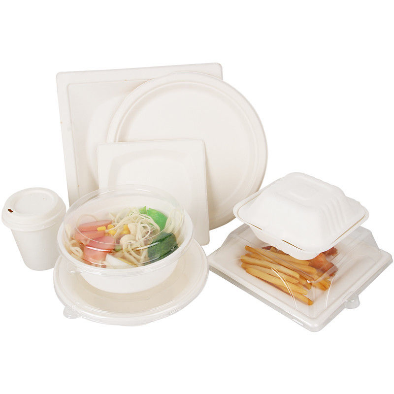 El bagazo de la caña de azúcar biodegradable se lleva la caja disponible para el sushi