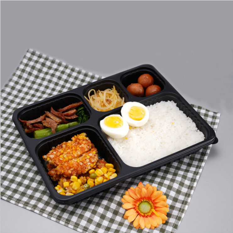 Bento Box Container para llevar plástico espesado disponible