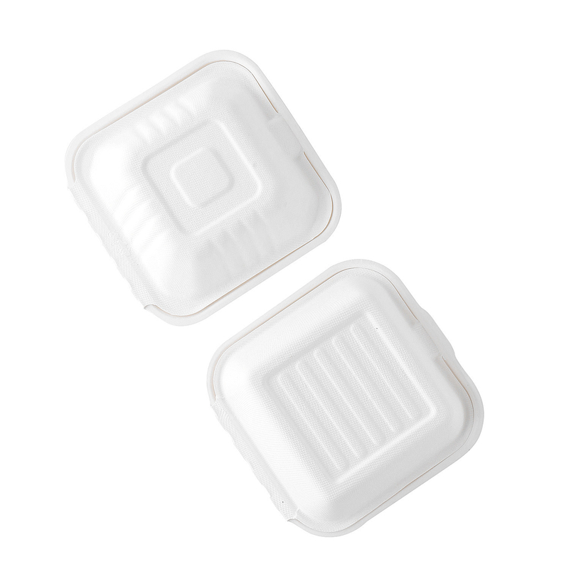 Recicle toman para ir bagazo de la caña de azúcar biodegradable se llevan la caja disponible